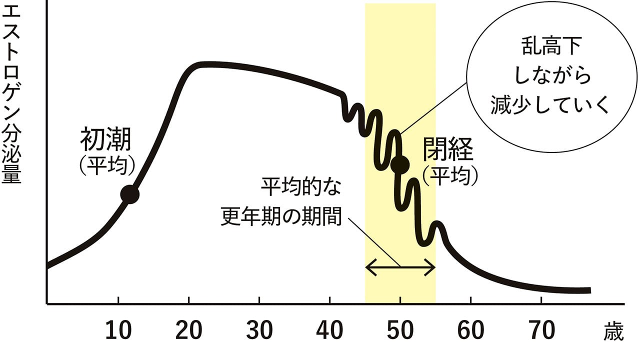 加齢による女性ホルモン（エストロゲン）分泌量の減少