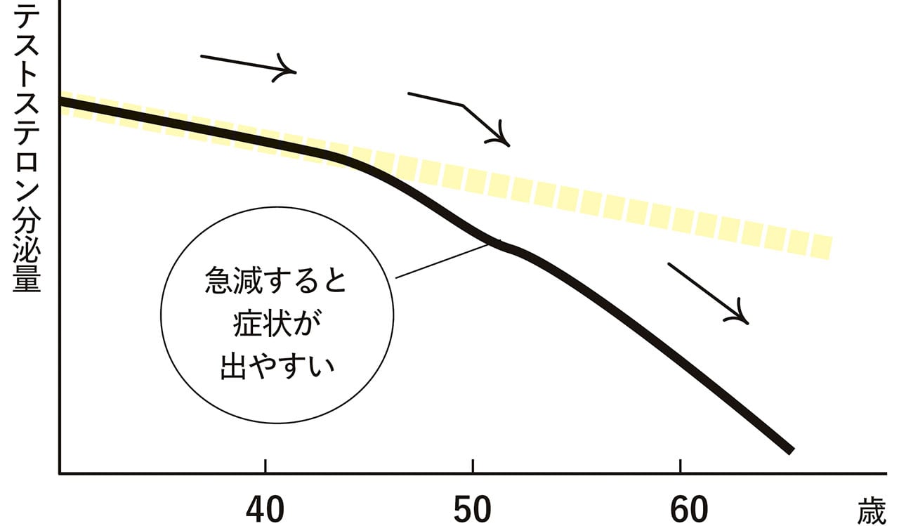 加齢による男性ホルモン（テストステロン）分泌量の減少