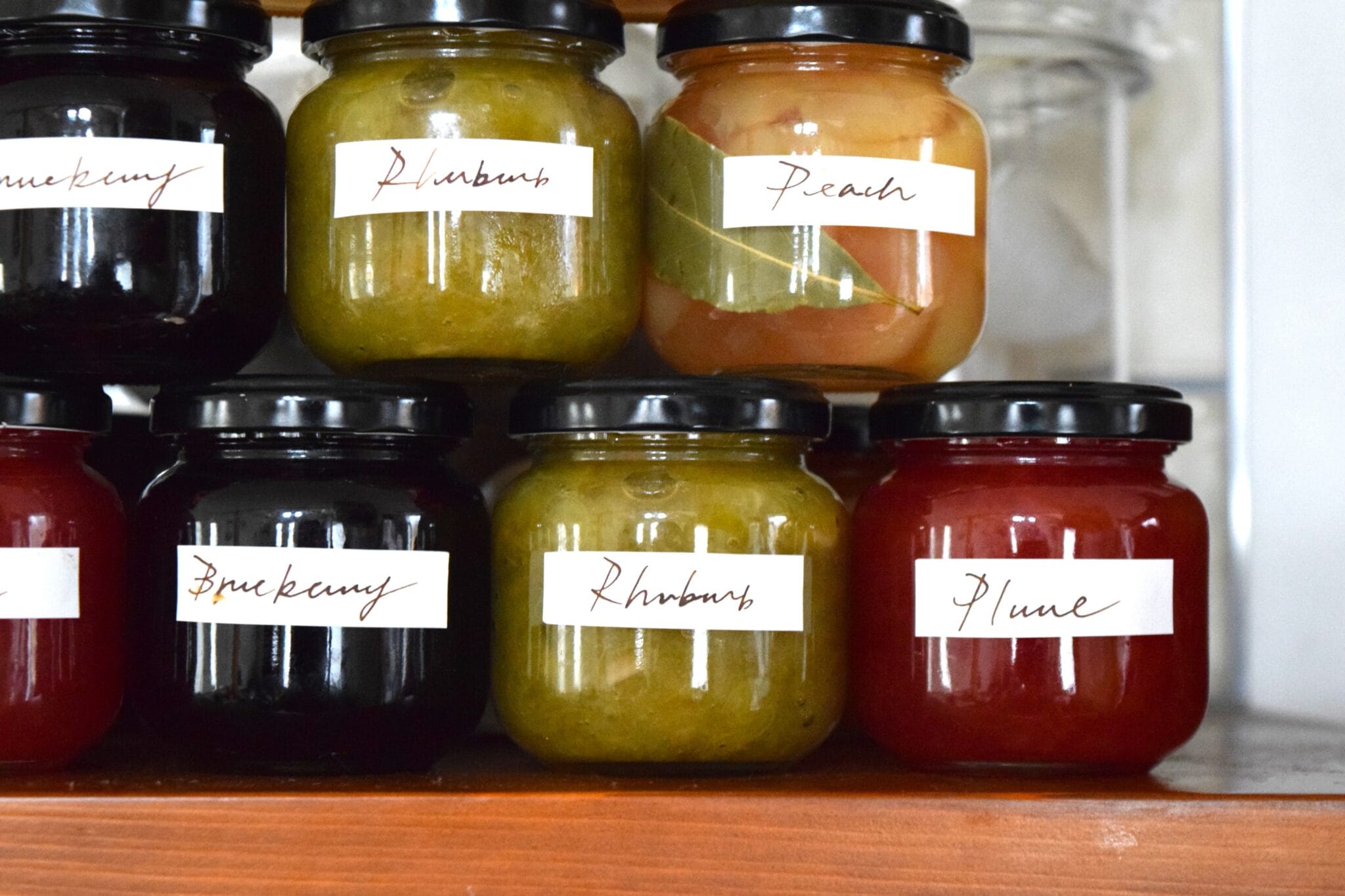 字：LEE DAYS club LEE100人隊OGが愛着ある日々を更新中！リレー連載