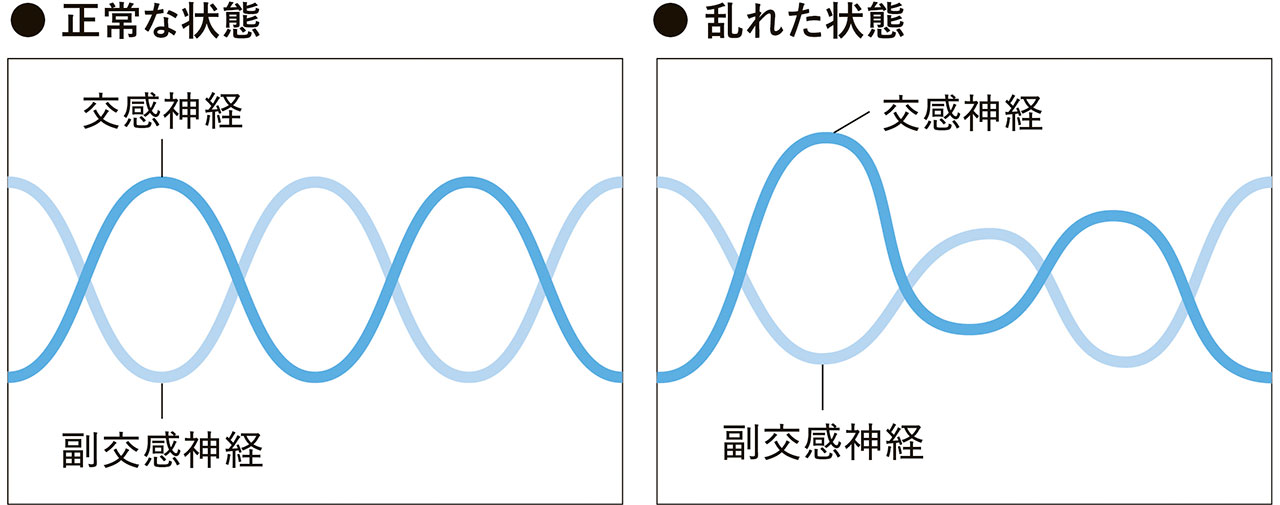 ● 正常な状態　● 乱れた状態　交感神経　副交感神経