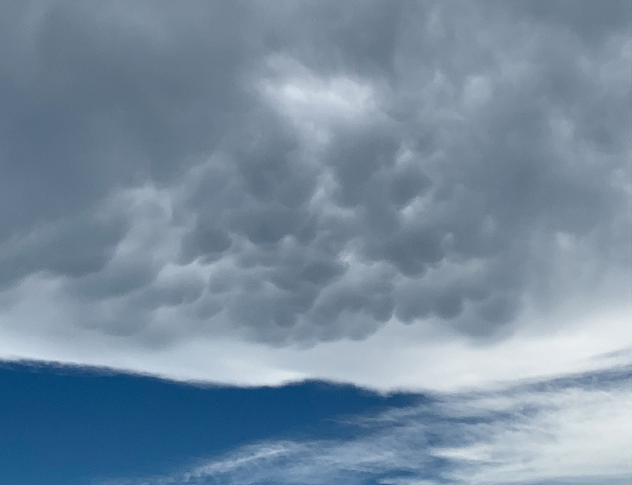頭上にボコボコとこぶが垂れ下がったような雲が現れたら、積乱雲接近のサイン