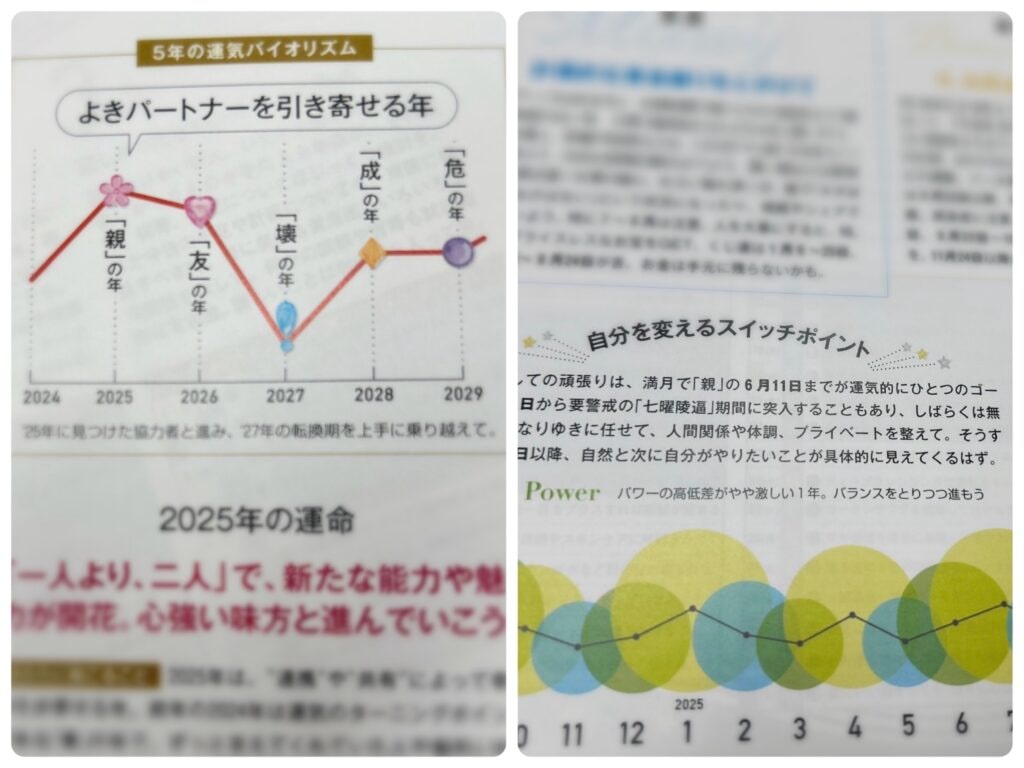 水晶玉子のオリエンタル占星術　幸運を呼ぶ365日メッセージつき　開運暦2025の内容