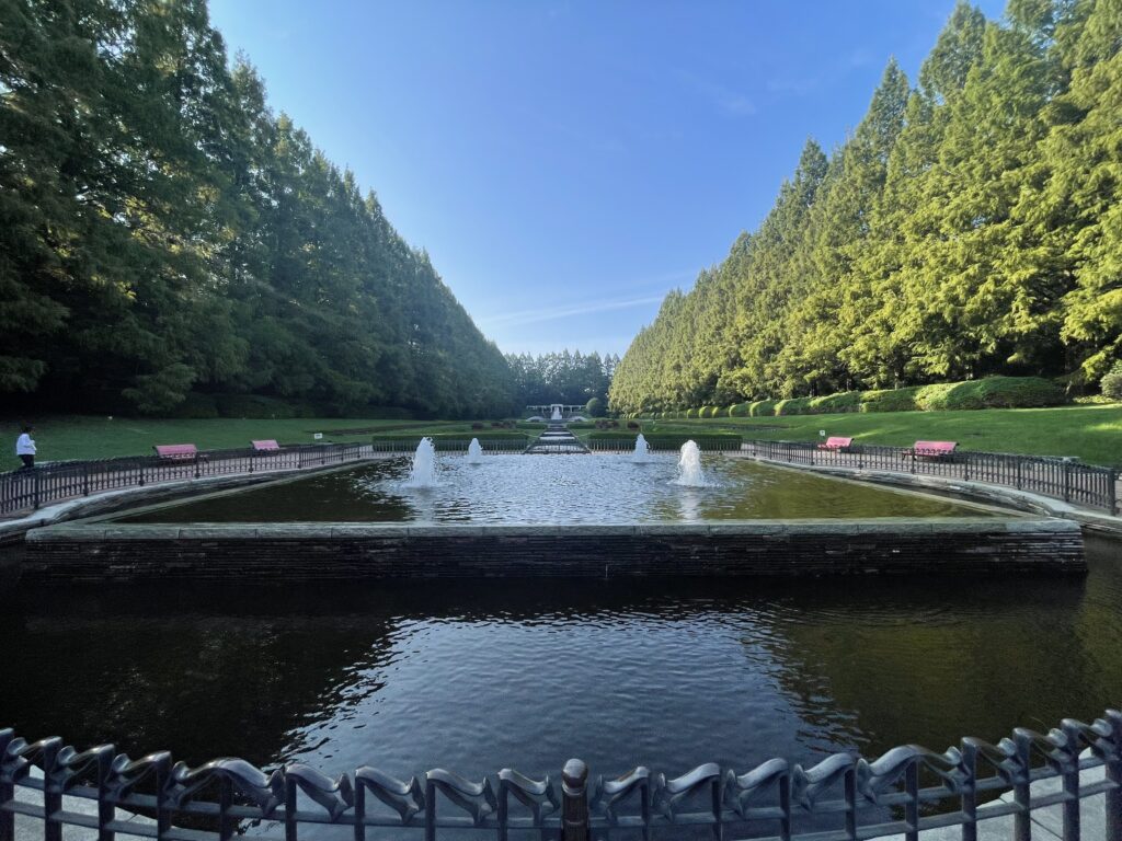 神奈川県立相模原公園のフランス式庭園の写真4。両サイドにメタセコイア並木。