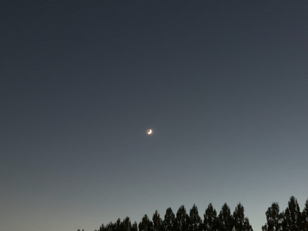 写真　イマソラ