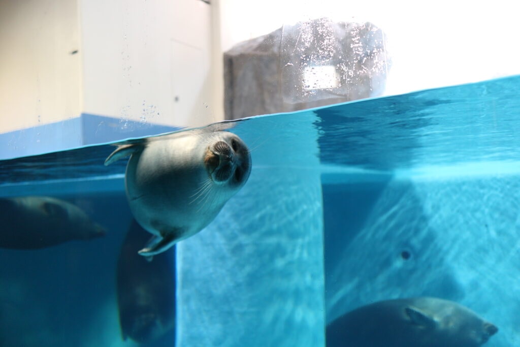 鳥羽水族館