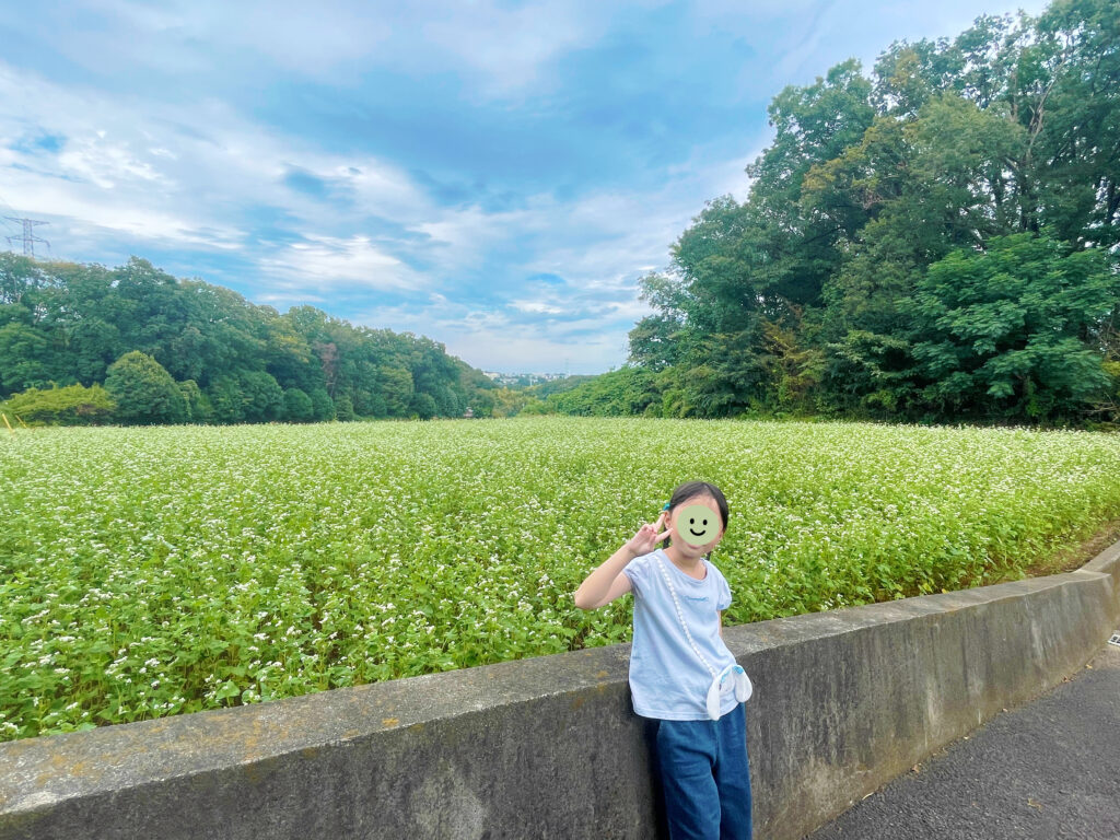 蕎麦の花　蕎麦の花畑　町田　ふるさと農具館　LEE100人隊　TB　はな　おでかけ　おでかけ部　2024年9月