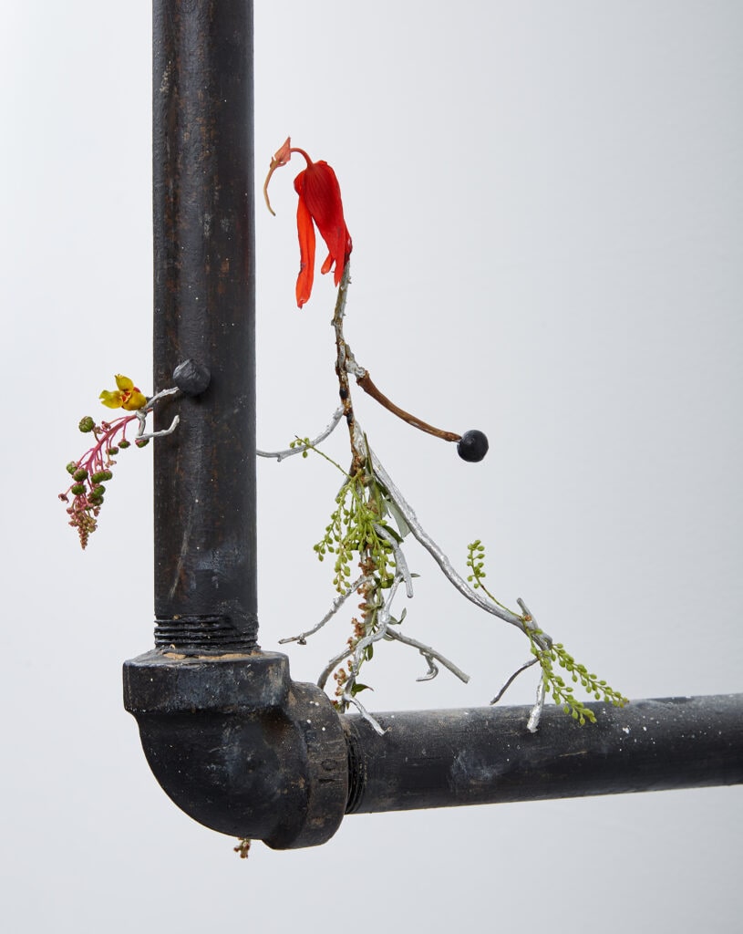 参考図版 丹羽海子
Daphne Adorned Series: Cat’s Claw,
Britannia pewter and foraged organic matter, 2022 
Photo: Marc Tatti
Courtesy of the artist and Simone Subal Gallery, New York