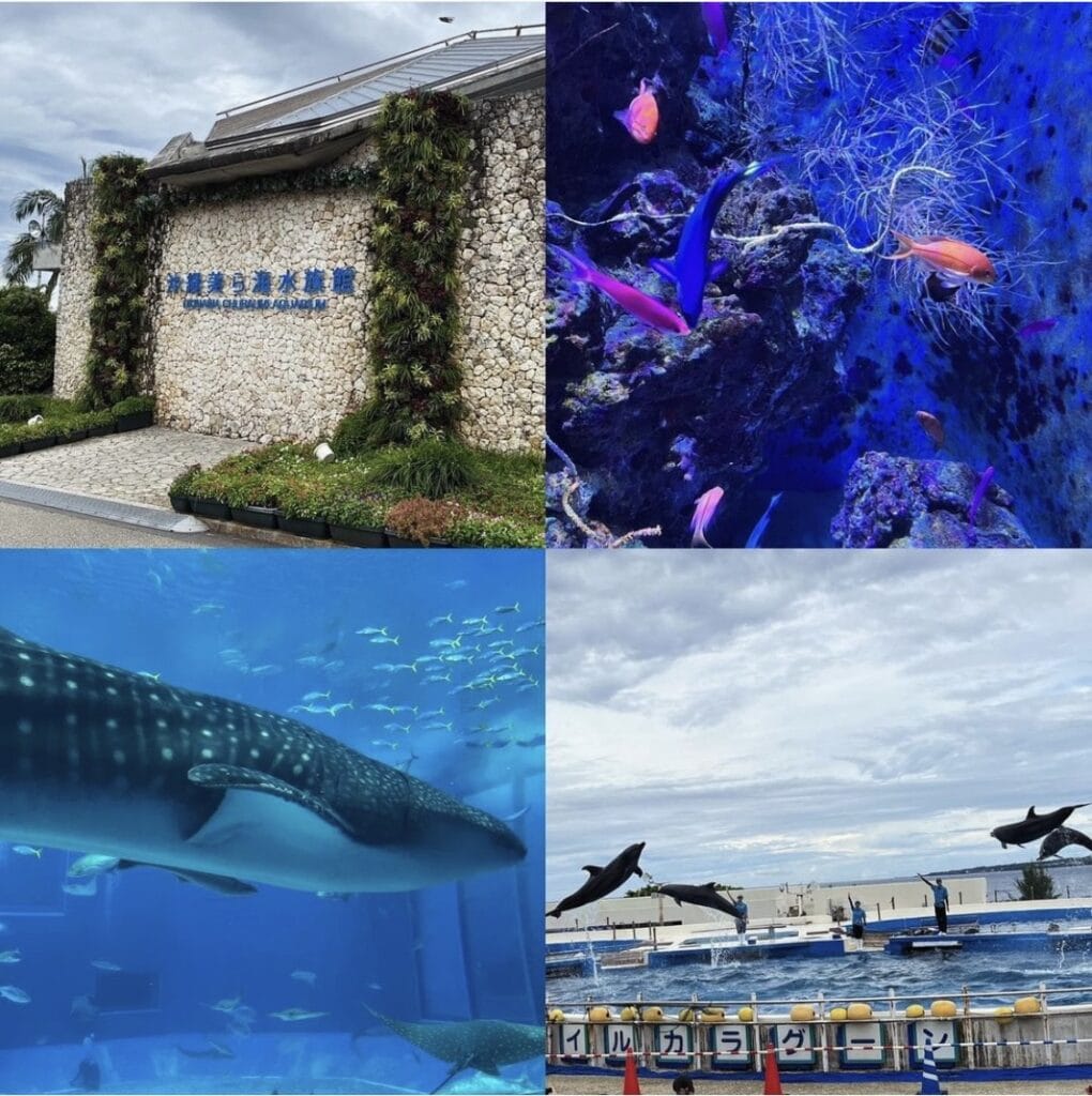 美ら海水族館