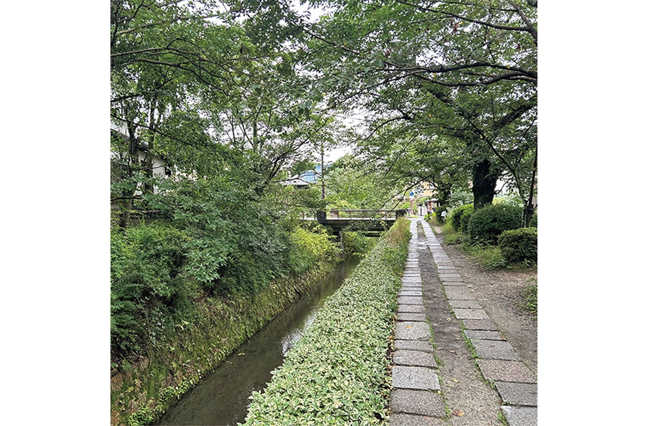 骨董店やギャラリーなど、行きたい場所がたまりがちな京都への一人旅は私の贅沢時間（写真は哲学の道）。