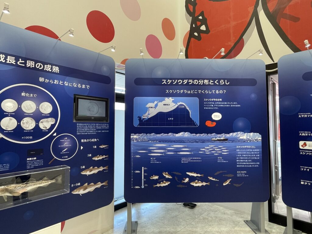 スケソウダラの分布と暮らし　かねふく　めんたいパーク　びわ湖　工場見学　明太子　たらこ　子連れ旅　子連れ旅行　LEE100人隊　TB　はな　おでかけ　おでかけ部　滋賀県　夏休み　2024年8月　お盆休み　帰省