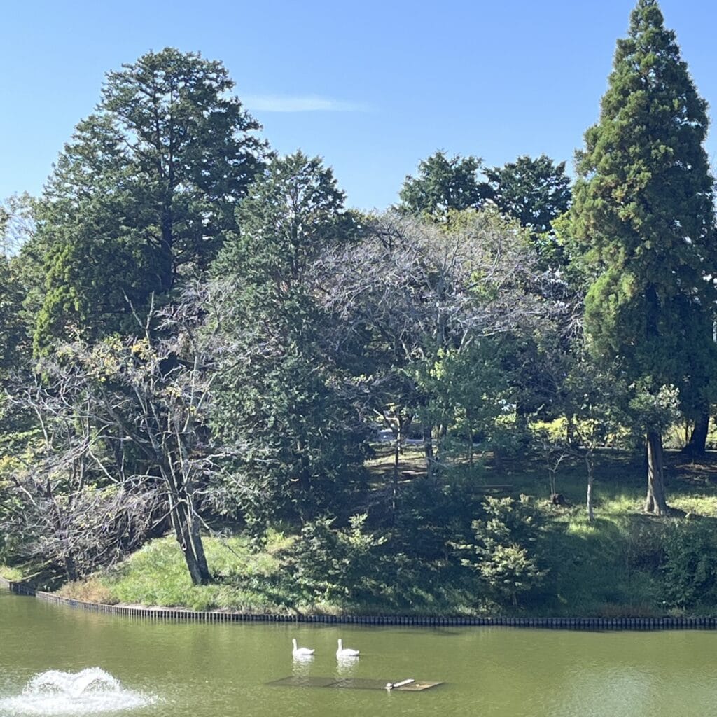 写真　DCI川村記念美術館