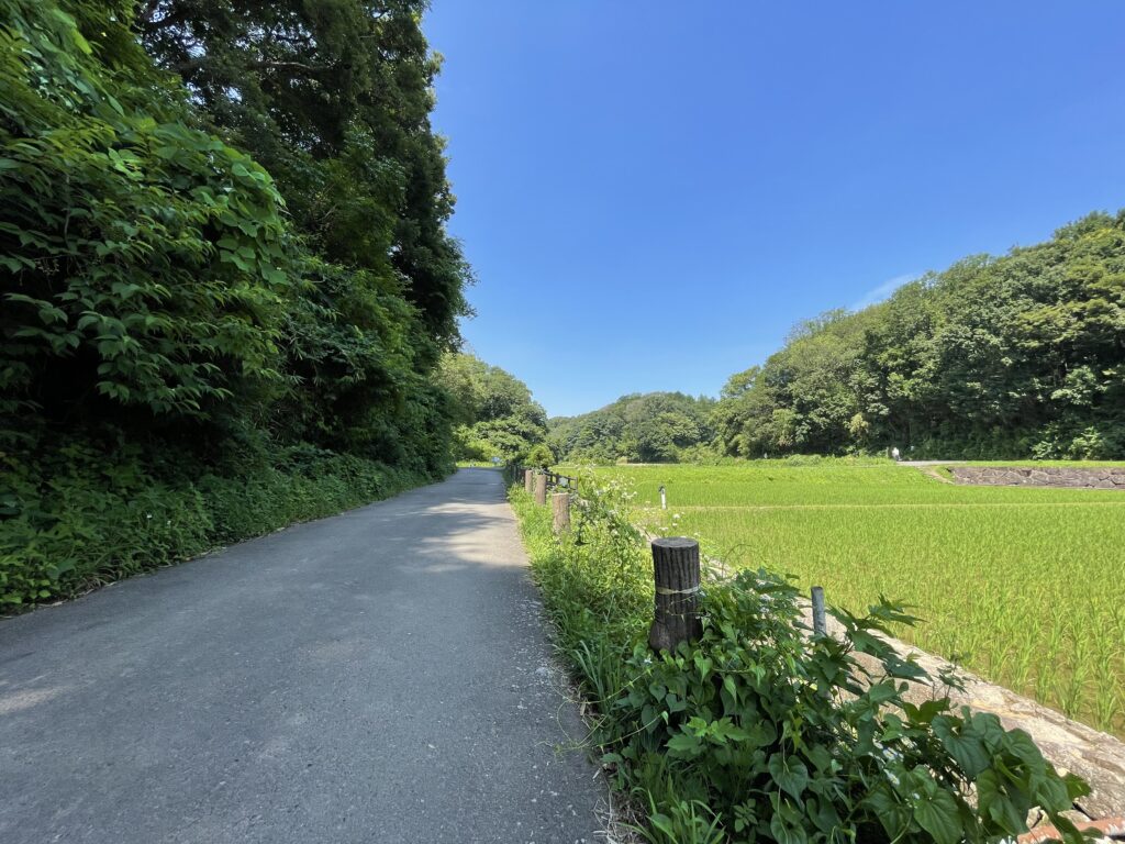 寺家ふるさと村　田園風景　となりのトトロ　昭和初期　里山の風景　原風景　LEE100人隊　TB　はな　おでかけ　おでかけ部