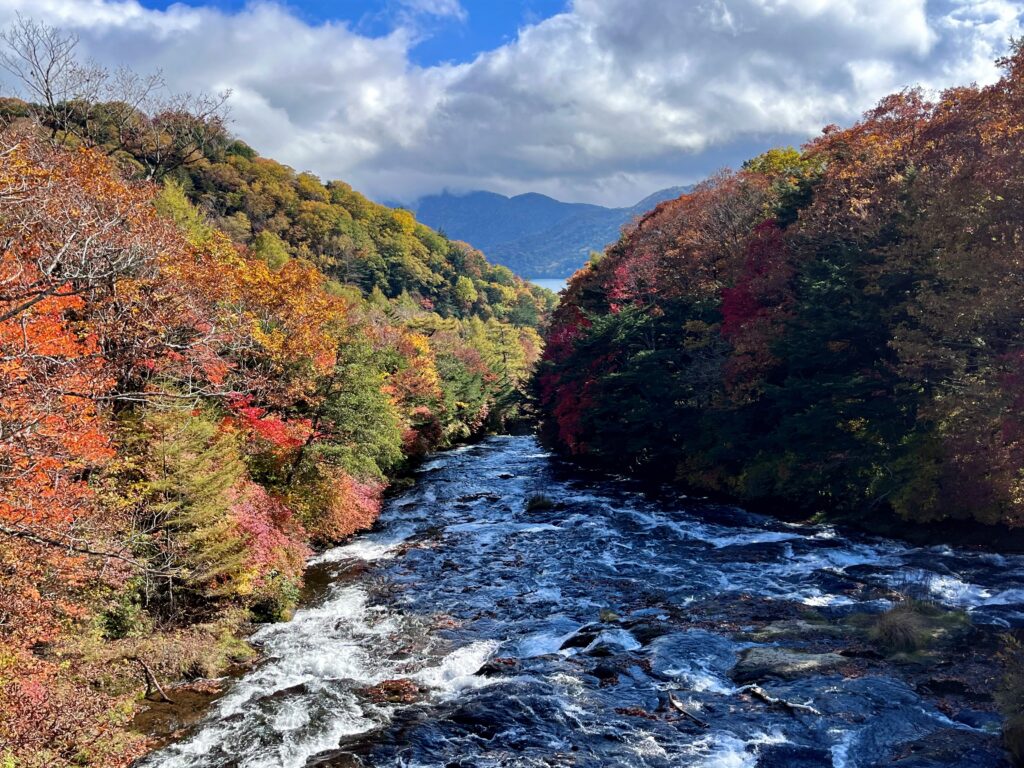 写真　奥日光トレッキング