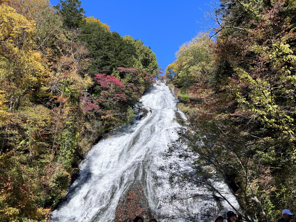 写真　奥日光トレッキング