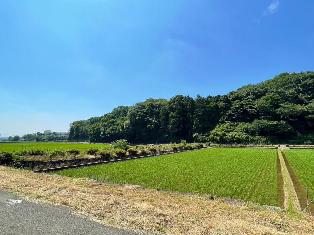 寺家ふるさと村　田んぼ　田園風景　里山風景　農地　LEE100人隊　TB　はな　おでかけ　おでかけ部