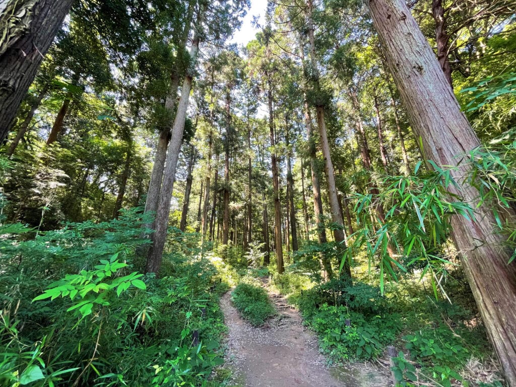 寺家ふるさと村　市民の森