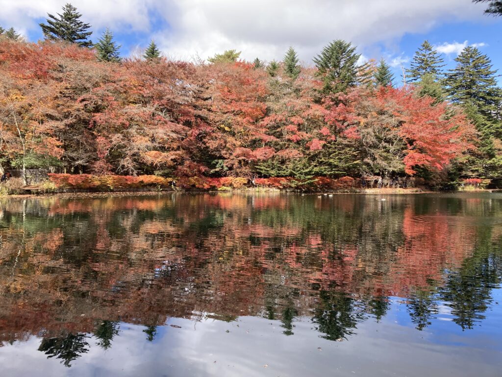 軽井沢
雲場池