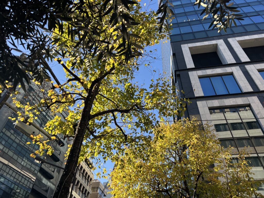 【東京・日本橋兜町】Bakery bankのクラシックなシュトーレン TBicoco