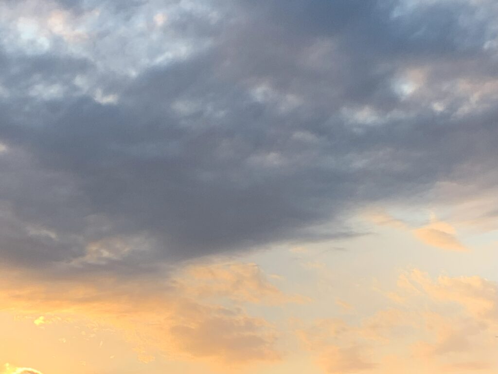 写真　イマソラ