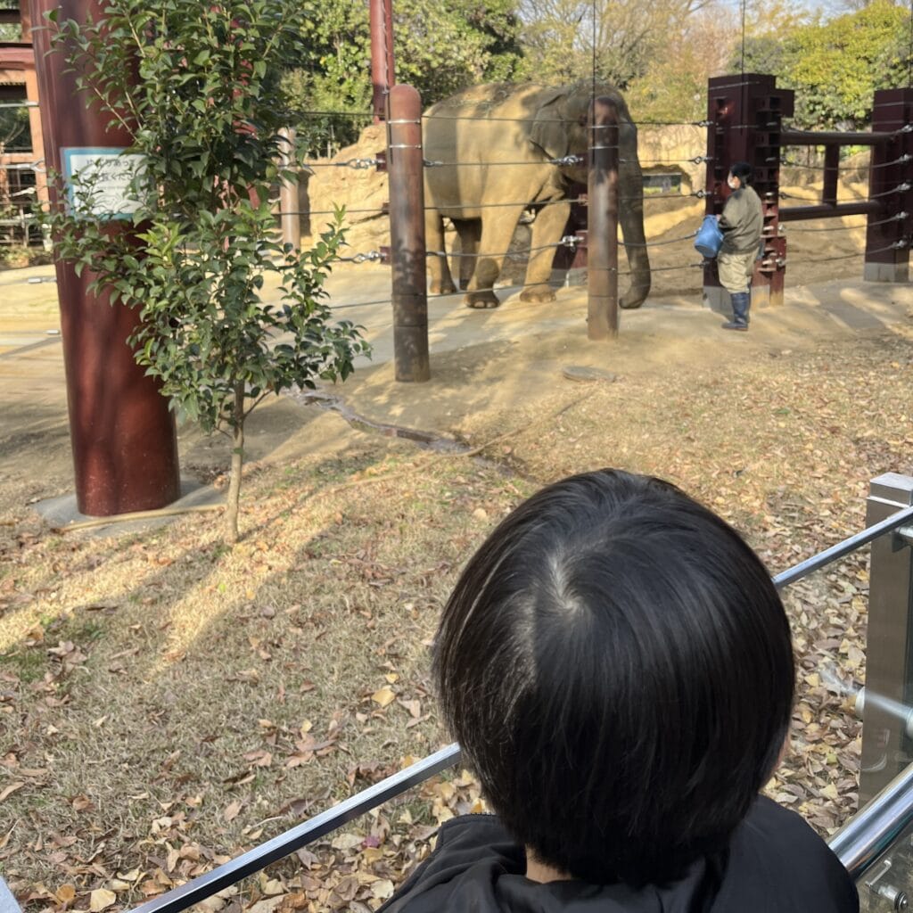 上野動物園　ゾウ　エサ