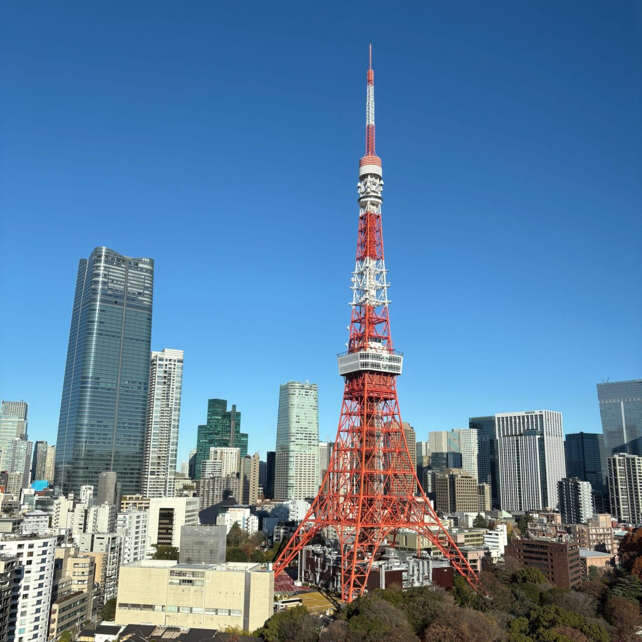 写真：ザ・プリンス パークタワー東京の客室から眺める東京タワー（朝）