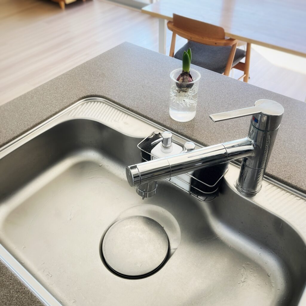 LEE 暮らしのダウンサイジング　シンク