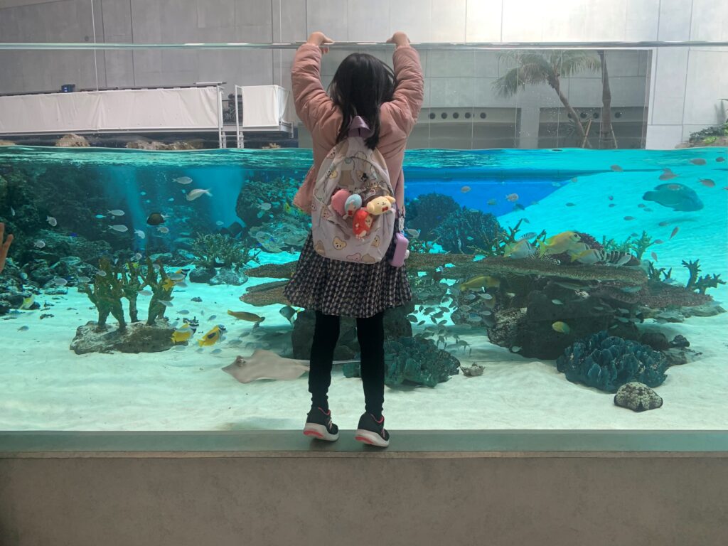 神戸須磨シーワールド　水族館　水槽