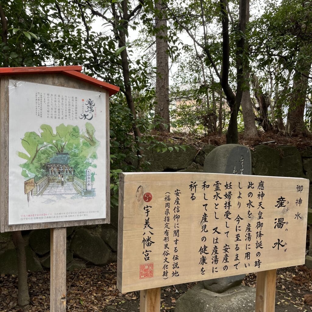 神社 水