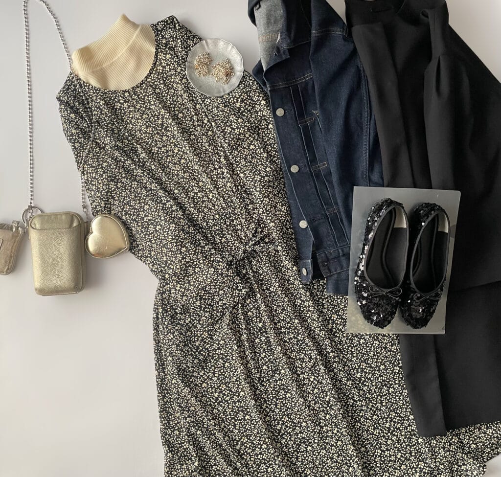 ユニクロGUコーデ ローリーズファームのバレエシューズ LEE100人隊 TB はな 今日なに着てる 2025年1月中旬コーデ置き画3