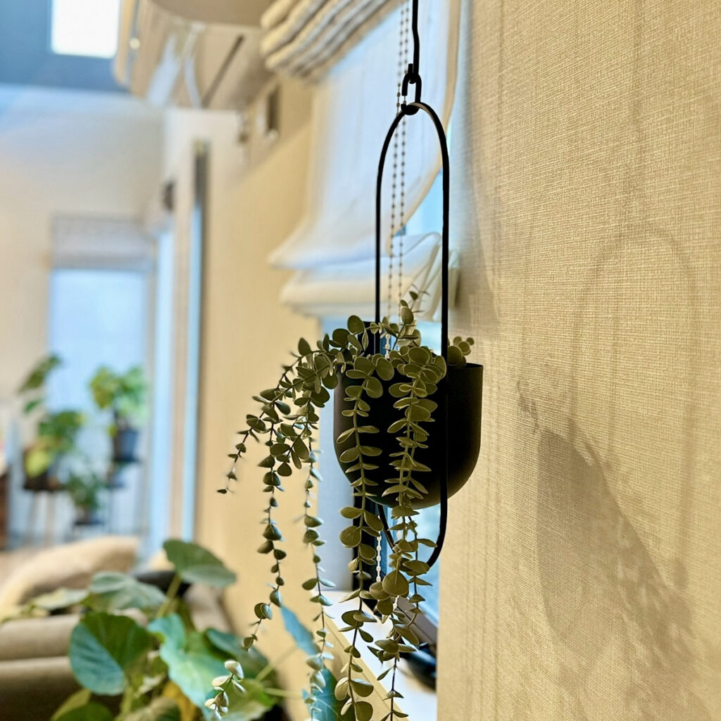 IKEAのハンギングプランターのチリストローンとフ