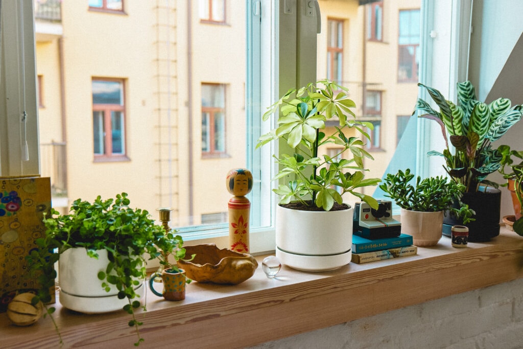 SN プラントポット 使用イメージ