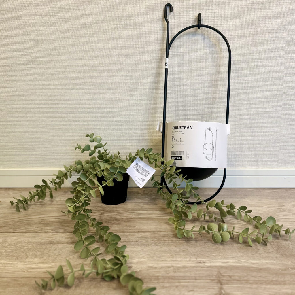 IKEAのハンギングプランターのチリストローンとフ