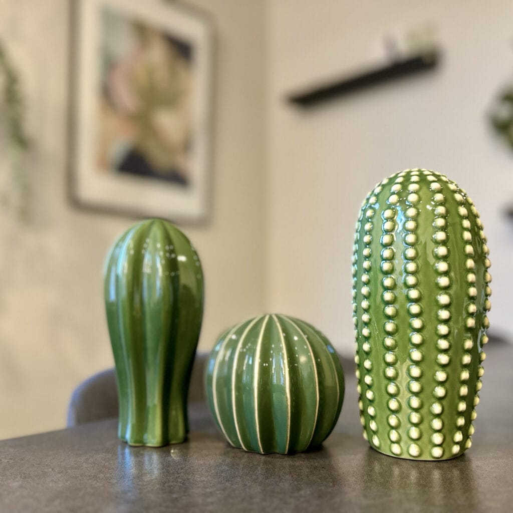 IKEAのサボテンのデコレーション3点セット　シェルスリグト