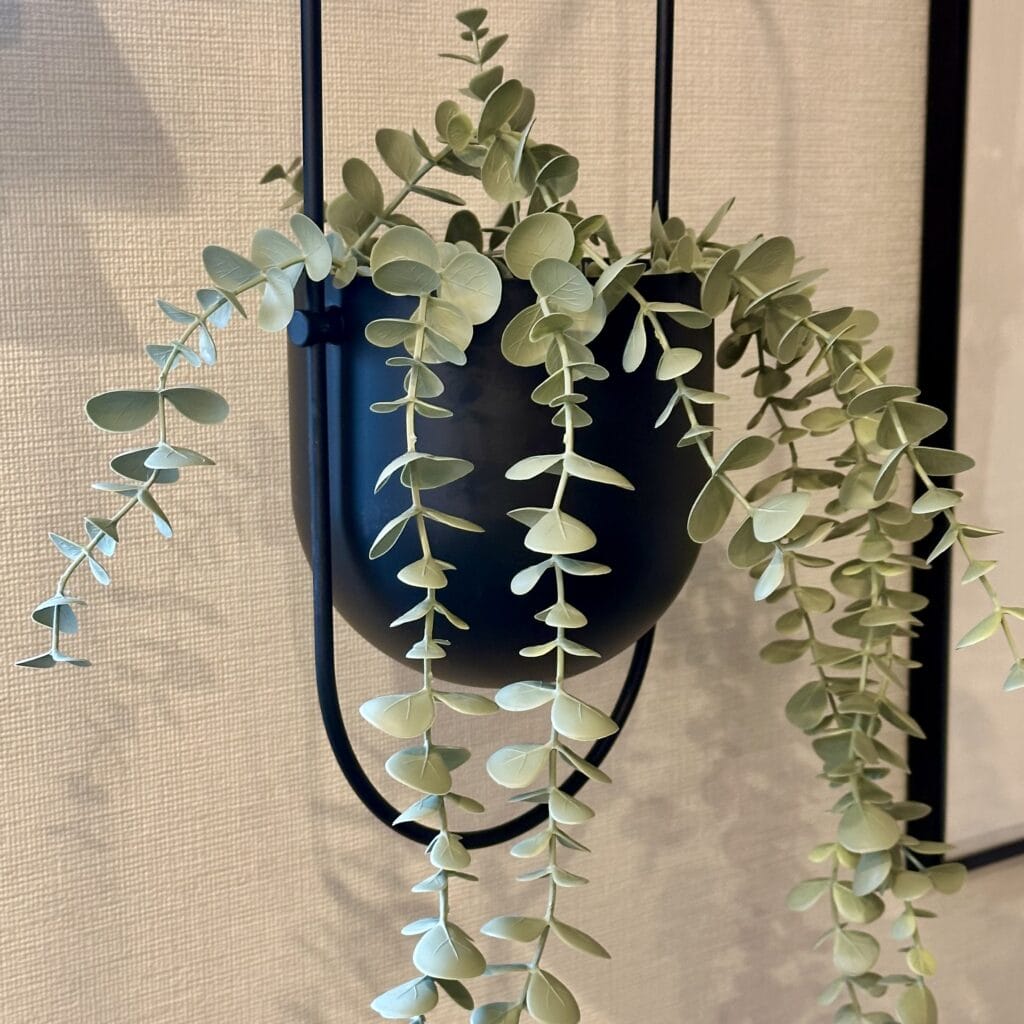 IKEAのハンギングプランターのチリストローンとフェイカ