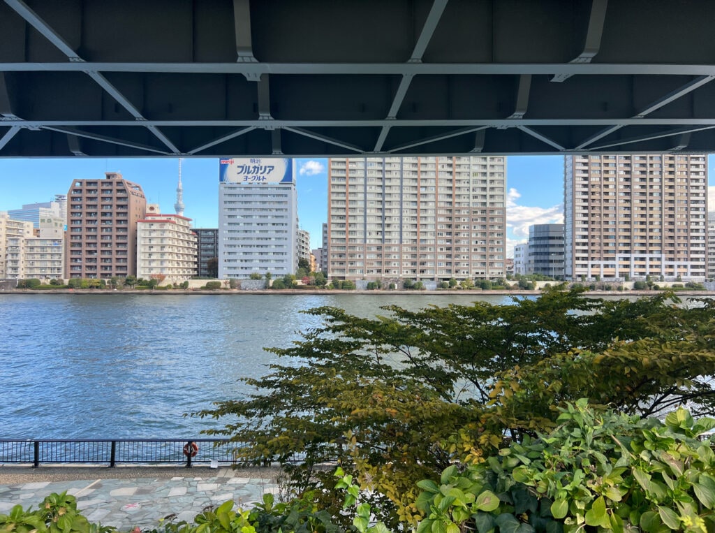 猫沢エミさんを想い「猫式イングリッシュスコーン」を作る＆【東京】浜町公園に行った日のこと TBicoco