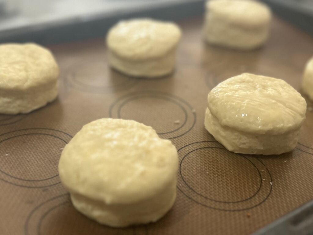 猫沢エミさんを想い「猫式イングリッシュスコーン」を作る＆【東京】浜町公園に行った日のこと TBicoco