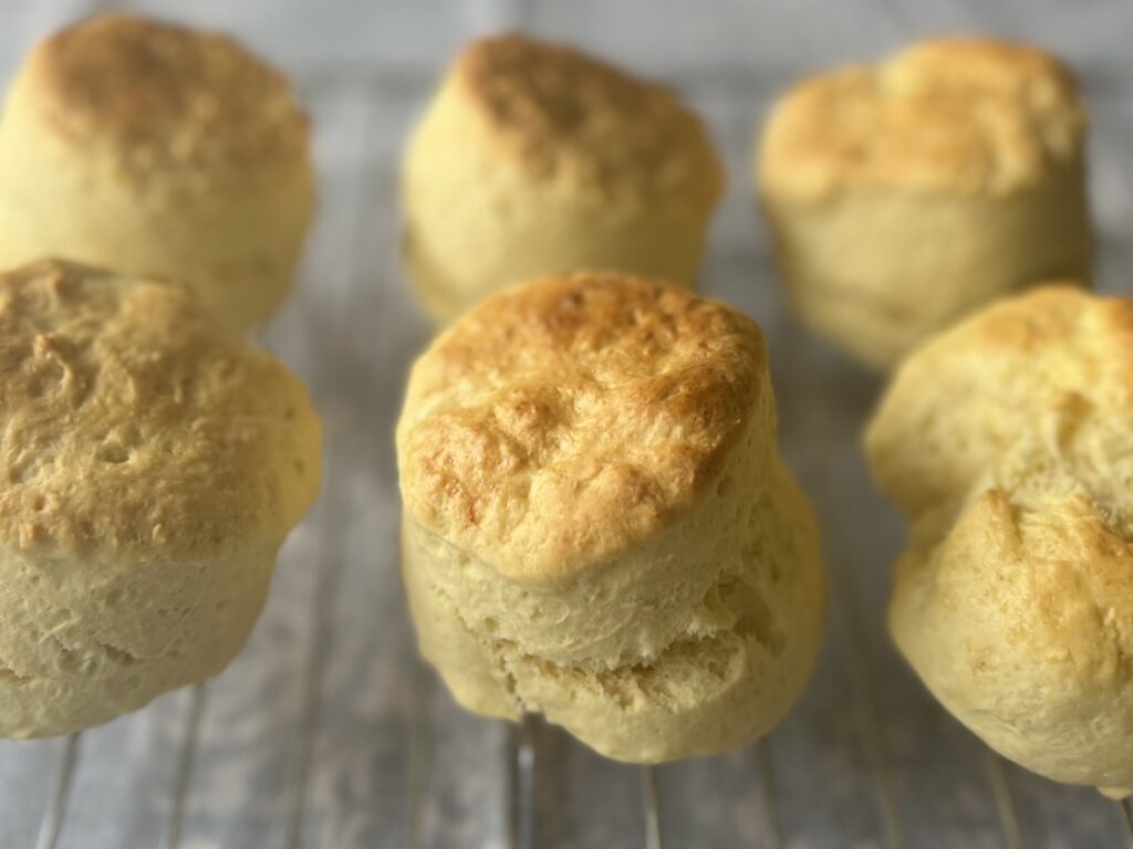 猫沢エミさんを想い「猫式イングリッシュスコーン」を作る＆【東京】浜町公園に行った日のこと TBicoco