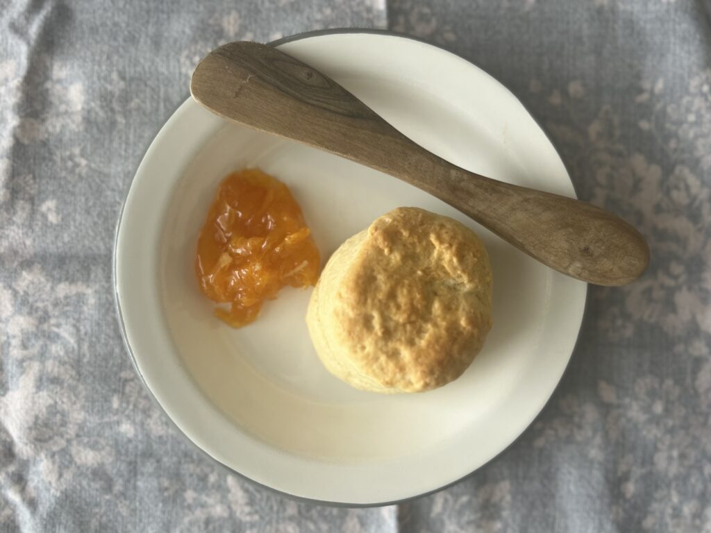 猫沢エミさんを想い「猫式イングリッシュスコーン」を作る＆【東京】浜町公園に行った日のこと TBicoco