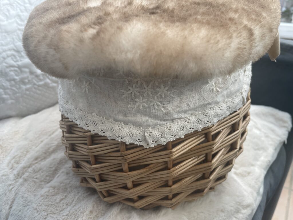 Kazumi×Samansa Mos2コラボの「マルチWAYカゴバッグ」色はベージュ。【写真3】　横から写したもの