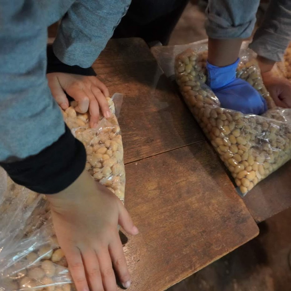 つぶす 味噌作り 子供食育