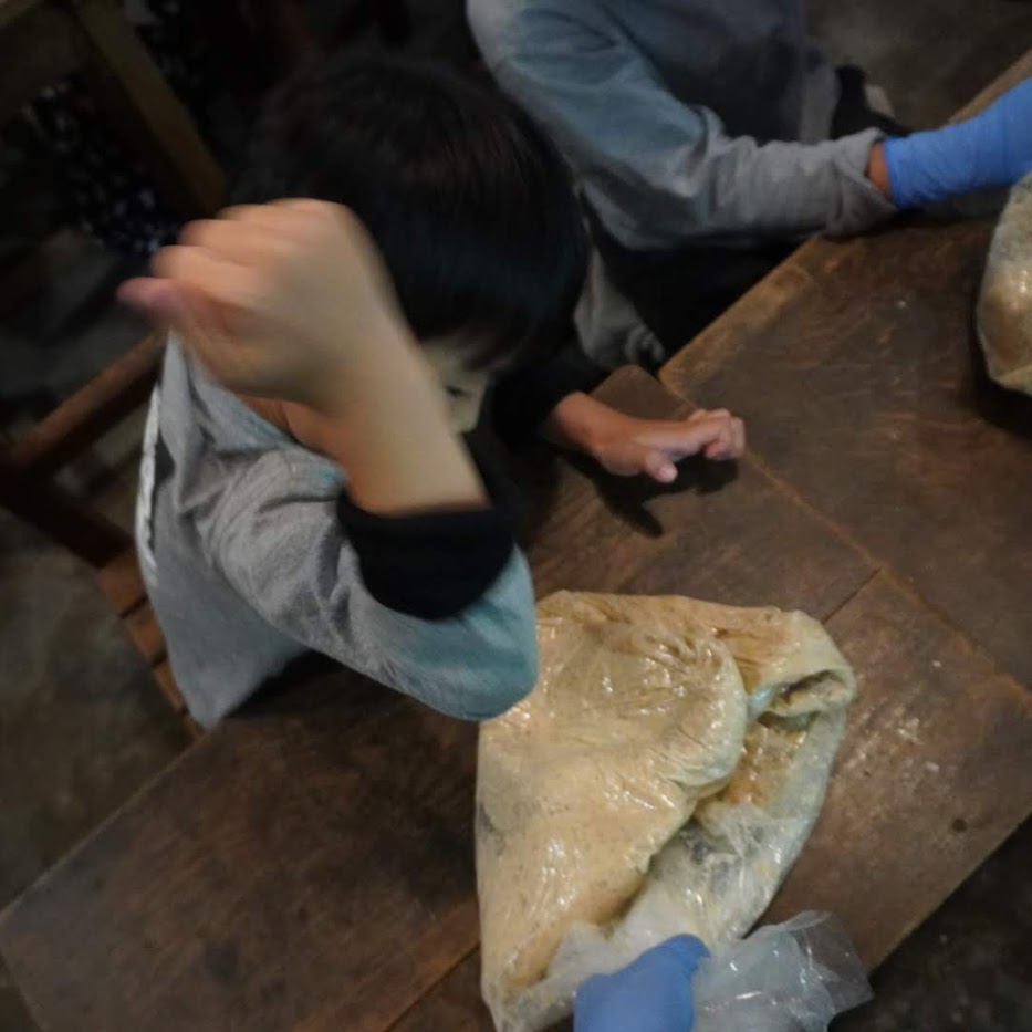 人力味噌作り 桝塚味噌 子供食育