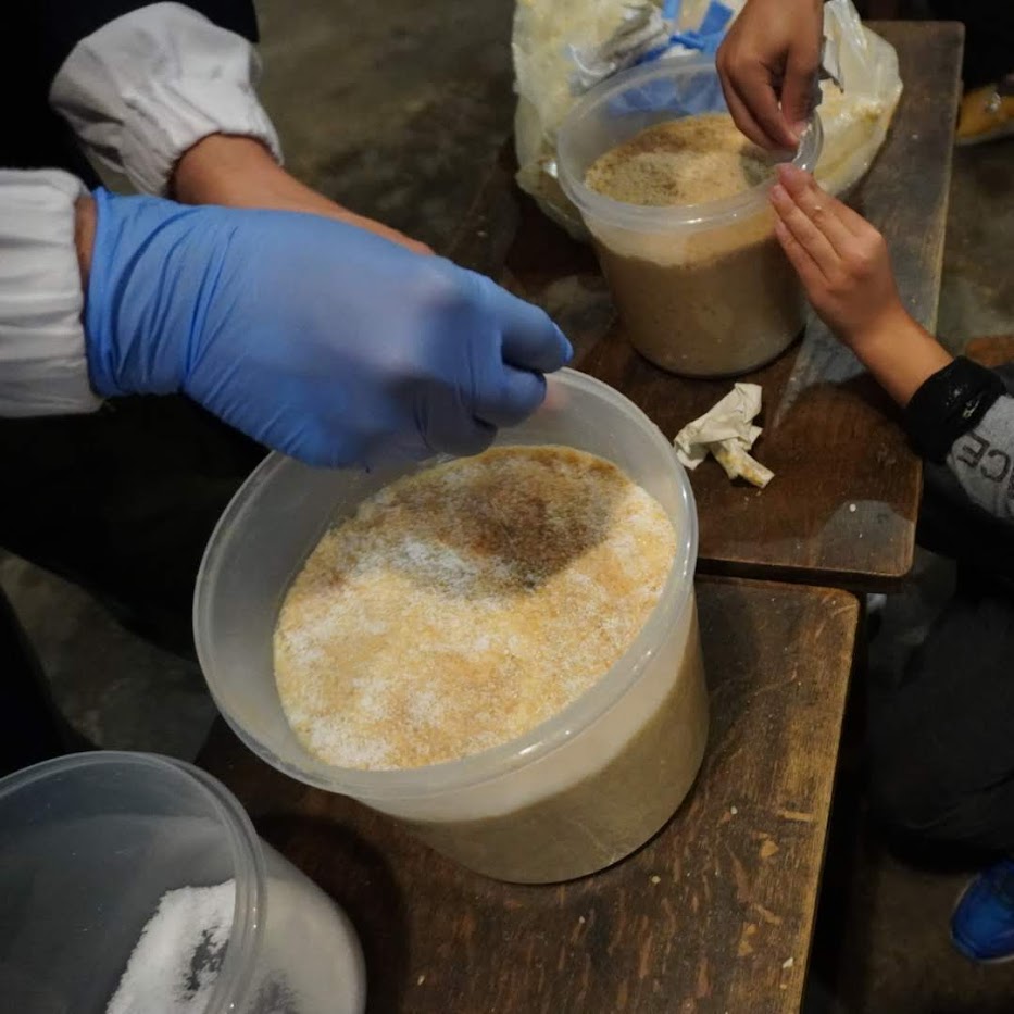 職人さんのチェック ふり塩 カビ防止