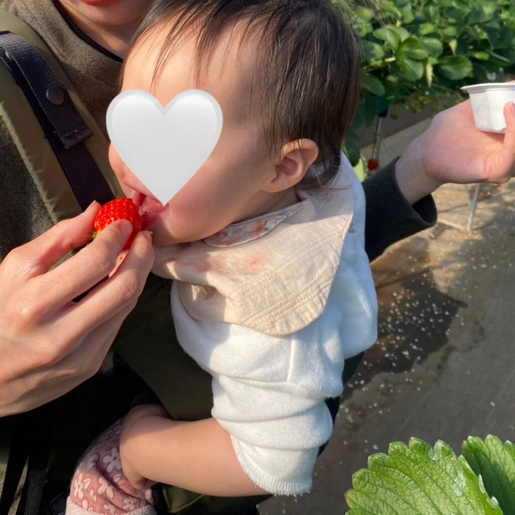 子連れ　おでかけ　いちご狩り