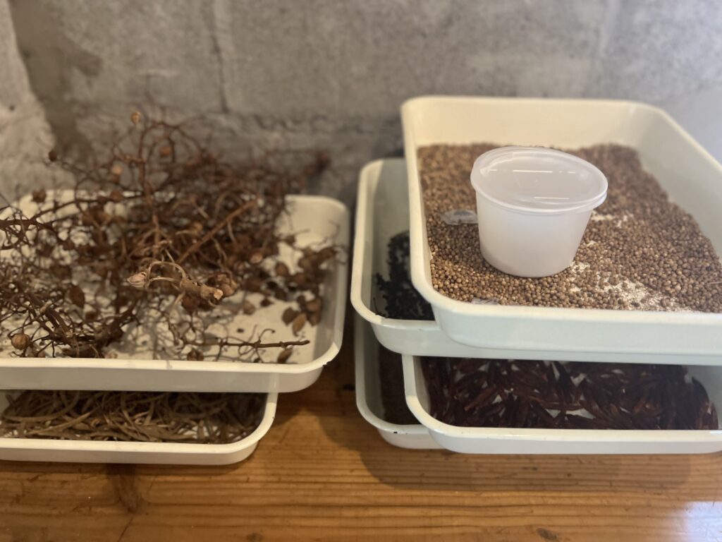 【沖縄】香りで旅する「やんばる」のスパイスワークショップに行く②TB icoco