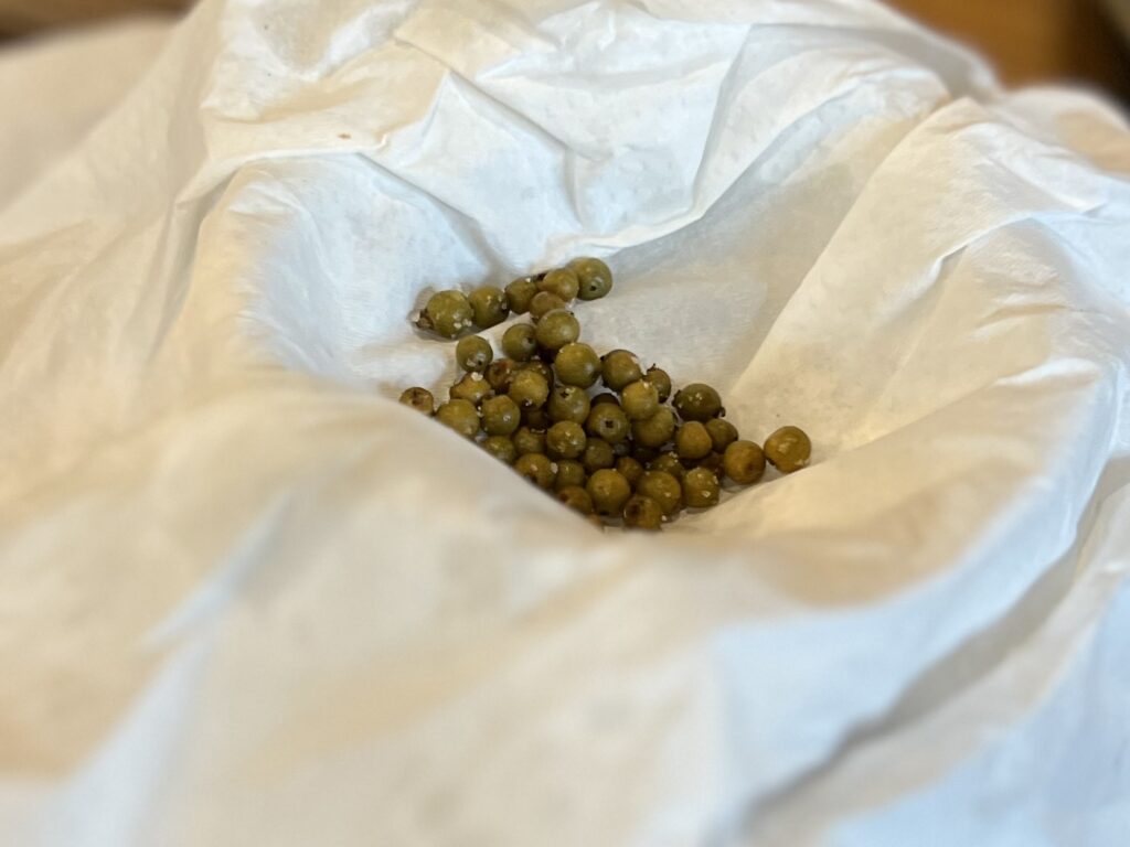 【沖縄】香りで旅する「やんばる」のスパイスワークショップに行く②TB icoco