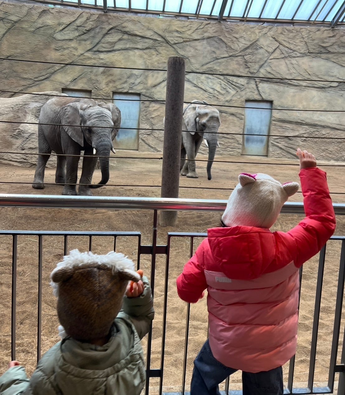 PUMAとユニクロのコートを着て動物園に行く佐藤ありささんの子ども