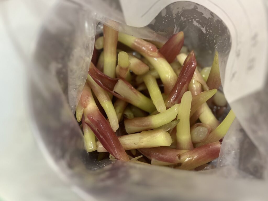 みょうがの茎を使って赤いピクルス作り TB icoco