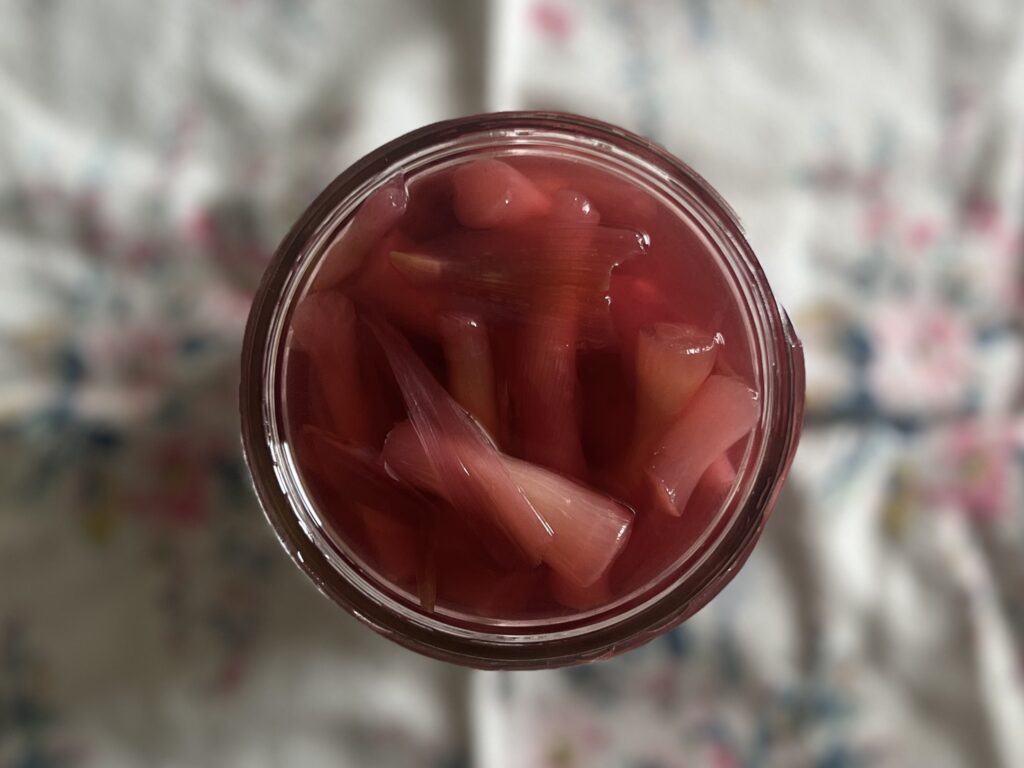 みょうがの茎を使って赤いピクルス作り TB icoco