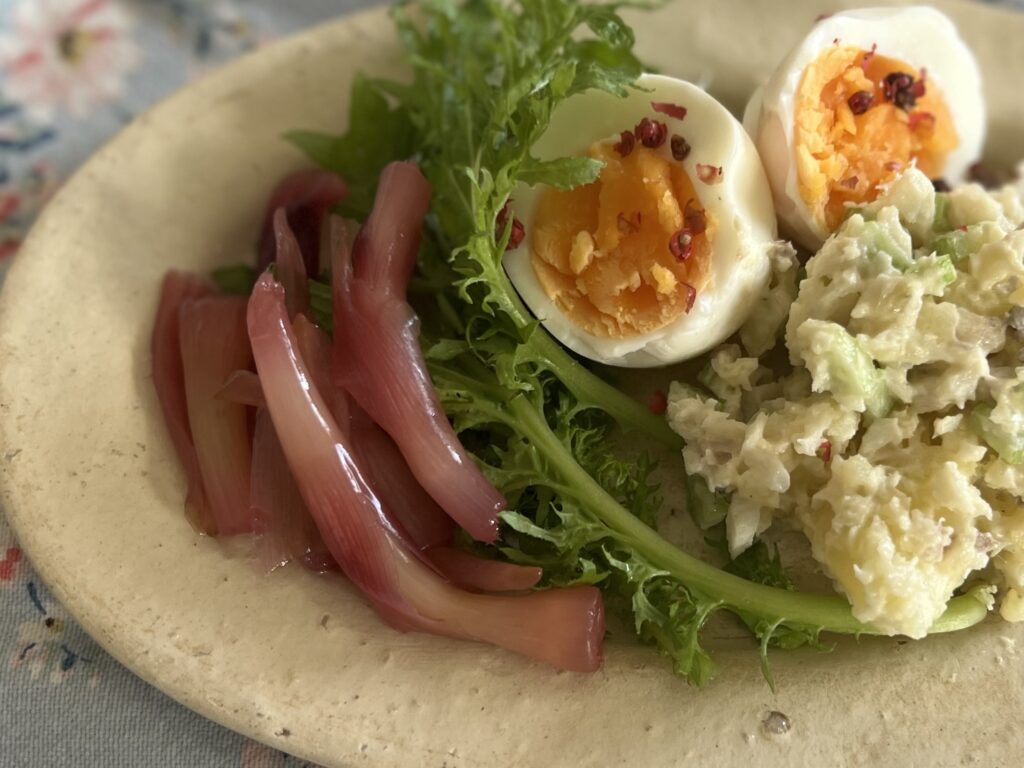 みょうがの茎を使って赤いピクルス作り TB icoco