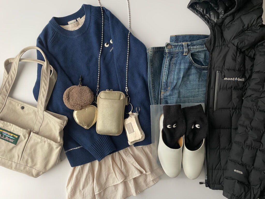 ユニクロ・GUコーデ2025年2月上旬置き画5 ユニクロ×アニヤ・ハインドマーチのコラボ モンベル LEE100人隊 TB はな 今日なに着てる